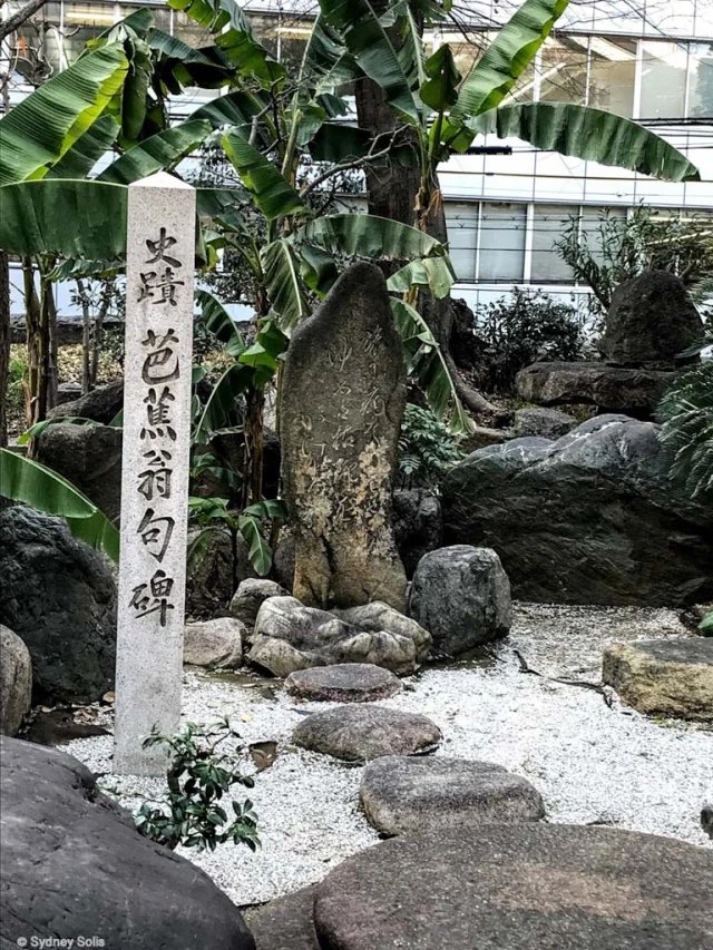 🏯 난바 별원 (미나미미도) 이미지 8